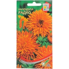 Семена ДОМ СЕМЯН Календула Радио, 0,4г в магазинах Лента