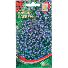 Семена ДОМ СЕМЯН Лобелия Мисс Клербан, 0,1г в магазинах Лента