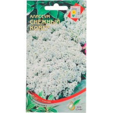 Семена Алиссум однолетний Снежный ковер, 0,1г в магазинах Лента