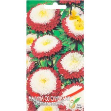 Семена ДОМ СЕМЯН Астра помпонная Малина со сливками, 0,3г в магазинах Лента