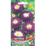Семена ДОМ СЕМЯН Астра помпонная Черника со сливками, 0,3г