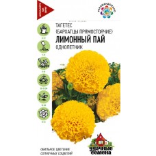 Семена УДАЧНЫЕ СЕМЕНА Бархатцы Тагетес прямостоячие Лимонный пай, 0,1г в магазинах Лента