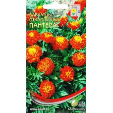 Семена ДОМ СЕМЯН Бархатцы Тагетес Пантера, 0,43г в магазинах Лента