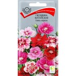 Семена ПОИСК Гвоздика китайская, смесь окрасок, 0,25г