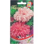 Семена ДОМ СЕМЯН Астра Радуга, 0,25г
