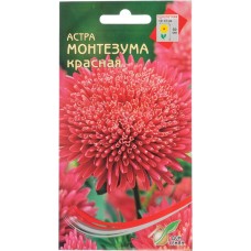 Семена ДОМ СЕМЯН Астра Монтезума, 0,25г в магазинах Лента