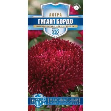 Семена ГАВРИШ Русский богатырь Астра игольчато-коготковая Гигант бордо, Арт. 1999949495, 0,05г в магазинах Лента