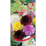 Семена Семена ДОМ СЕМЯН Георгина Маленькая леди, 15шт