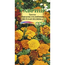 Семена ГАВРИШ Бархатцы отклоненные Тагетес Веселая полянка, Арт. 10000929, 0,3г в магазинах Лента