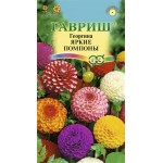 Семена ГАВРИШ Георгина Яркие помпоны, Арт. 10006617, 0,2г