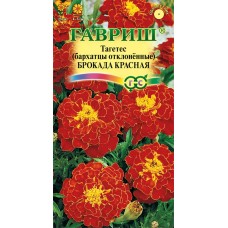 Семена ГАВРИШ Бархатцы Тагетес отклоненные Брокада красная, Арт. 10006573, 0,3г в магазинах Лента
