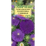 Семена ГАВРИШ Астра однолетняя помпонная Пампушка сливовая, Арт. 10006544, 0,3г