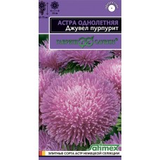 Семена ГАВРИШ Эксклюзив, Астра однолетняя игольчато-коготковая Джувел Пурпурит, Арт. 1071856733, 0,05г в магазинах Лента