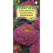 Семена ГАВРИШ Астра однолетняя помпонная Пампушка вишневая, Арт. 10006540, 0,3г в магазинах Лента