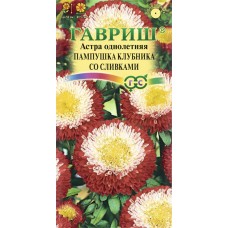 Семена ГАВРИШ Астра однолетняя помпонная Пампушка клубника со сливками, Арт. 10006546, 0,3г в магазинах Лента