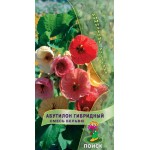 Семена ПОИСК Абутилон гибридный Бельвю, смесь, 0,1г