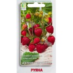 Семена ПОИСК Земляника ремонтантная Руяна, 10шт
