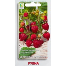 Семена ПОИСК Земляника ремонтантная Руяна, 10шт в магазинах Лента