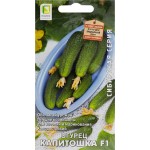 Семена ПОИСК Огурец Капитошка F1, 12г Семена ПОИСК Огурец Капитошка F1, 12г