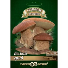 Мицелий грибов на зерновом субстрате ГАВРИШ Грибное лукошко, в ассортименте: белый гриб, белый гриб сосновый, лисички, подосиновик, Арт. 1026999267 в магазинах Лента