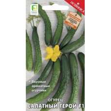 Семена ПОИСК Авторские сорта и гибриды, Огурец Салатный герой F1, 0,2г в магазинах Лента