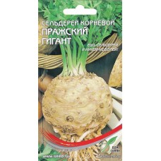 Семена ДОМ СЕМЯН Сельдерей корневой Пражский гигант, 0,4г в магазинах Лента