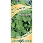 Семена ГАВРИШ Семена от автора, Мята Ясная нотка, Арт. 191223958, 0,05г Семена ГАВРИШ Семена от автора, Мята Ясная нотка, Арт. 191223958, 0,05г