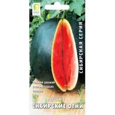 Семена ПОИСК Арбуз Сибирские огни, 15шт в магазинах Лента
