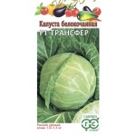Семена ГАВРИШ Капуста белокочанная Трансфер F1, 10шт