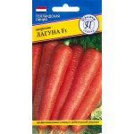 Семена ПРЕСТИЖ-СЕМЕНА Морковь Лагуна F1, Арт. 00003256, 0,5г Семена ПРЕСТИЖ-СЕМЕНА Морковь Лагуна F1, Арт. 00003256, 0,5г