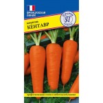 Семена ПРЕСТИЖ-СЕМЕНА Морковь Кентавр, Арт. 00036538, 1г Семена ПРЕСТИЖ-СЕМЕНА Морковь Кентавр, Арт. 00036538, 1г