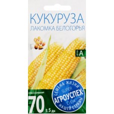 Семена АГРОУСПЕХ Кукуруза Лакомка Белогорья, 5г в магазинах Лента