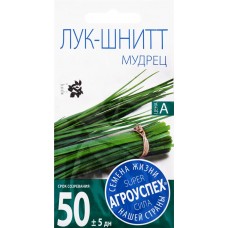 Семена АГРОУСПЕХ Лук-шнитт Мудрец, 0,5г в магазинах Лента