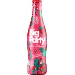 Напиток слабоалкогольный BIG PARTY by Santo Stefano Малина и крыжовник особый газированный 5%, 0.3л