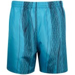 Шорты спортивные мужские INWIN мультиколор, Арт. IM013