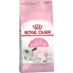Корм сухой для котят ROYAL CANIN в период первой фазы роста, беременных и кормящих коше, 2кг Корм сухой для котят ROYAL CANIN в период первой фазы роста, беременных и кормящих коше, 2кг