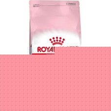 Корм сухой для котят и беременных и кормящих кошек ROYAL CANIN, 4кг в магазинах Лента
