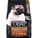Корм сухой для собак FARMINA PET FOODS с ягненком, 800г