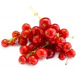 Смородина красная, весовая Смородина красная, весовая