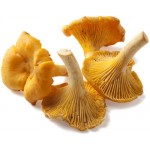 Лисички дикорастущие, 400г Лисички дикорастущие, 400г