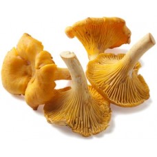 Лисички дикорастущие, 400г в магазинах Лента