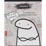 Тетрадь PROF-PRESS Школьные мемасики Химия, 48 листов, в клетку, Арт. 48-9659