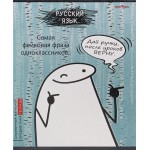 Тетрадь PROF-PRESS Школьные мемасики Русский язык, 48 листов, в линейку, Арт. 48-9661