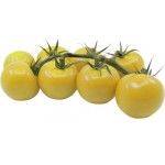Томаты черри желтые, на ветке, 250г