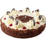 Торт СЕВЕР Безе с клюквой и шоколадом, 1кг