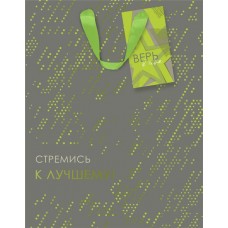Пакет подарочный Neon премиум, 31,5х25,5х11см, Арт. LVA в магазинах Лента