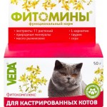 Корм функциональный для кошек VEDA Фитомины для кастрированных котов, 50г Корм функциональный для кошек VEDA Фитомины для кастрированных котов, 50г