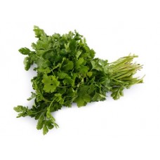 Кинза свежая, весовая в магазинах Лента
