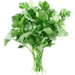 Петрушка свежая, 100г
