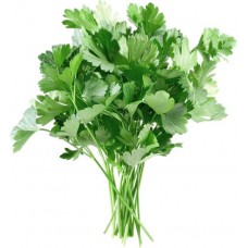 Петрушка свежая, 100г в магазинах Лента